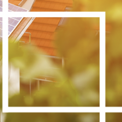 Green transition in practice. Strategies, financing, projects