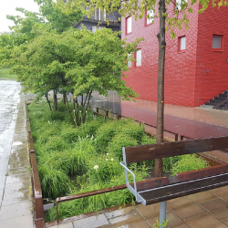 Sustainable urban stormwater management using blue-green solutions