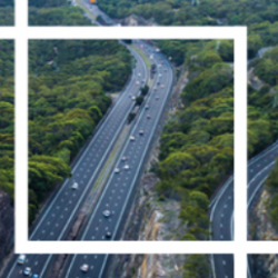 How to get rid of carbon and survive it? Or how to reduce the carbon footprint of companies